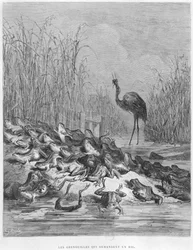 Die Frösche bitten um einen König, Illustration aus „Fables“ von Jean de La Fontaine (1621-95)